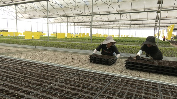 向"新"而行,由"智"及"质"!遂宁培育新质生产力为现代农业蓄势赋能